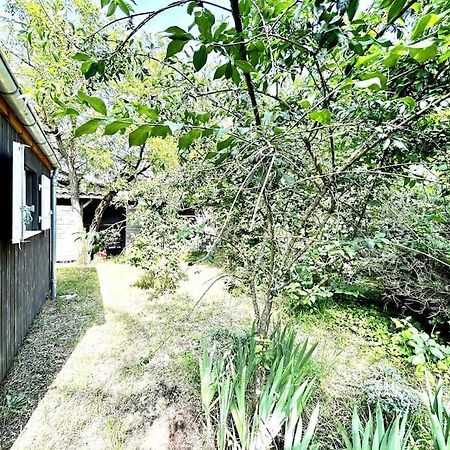 Harmonie - Agreable Maison Situee Dans Un Ecrin De Verdure La Tremblade Exterior foto