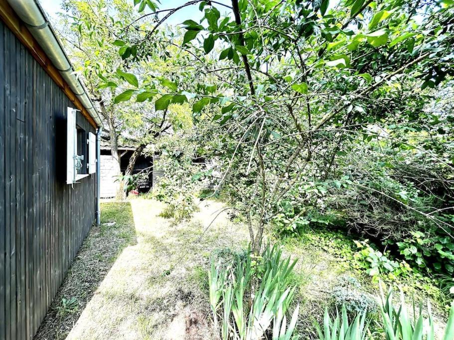 Harmonie - Agreable Maison Situee Dans Un Ecrin De Verdure La Tremblade Exterior foto